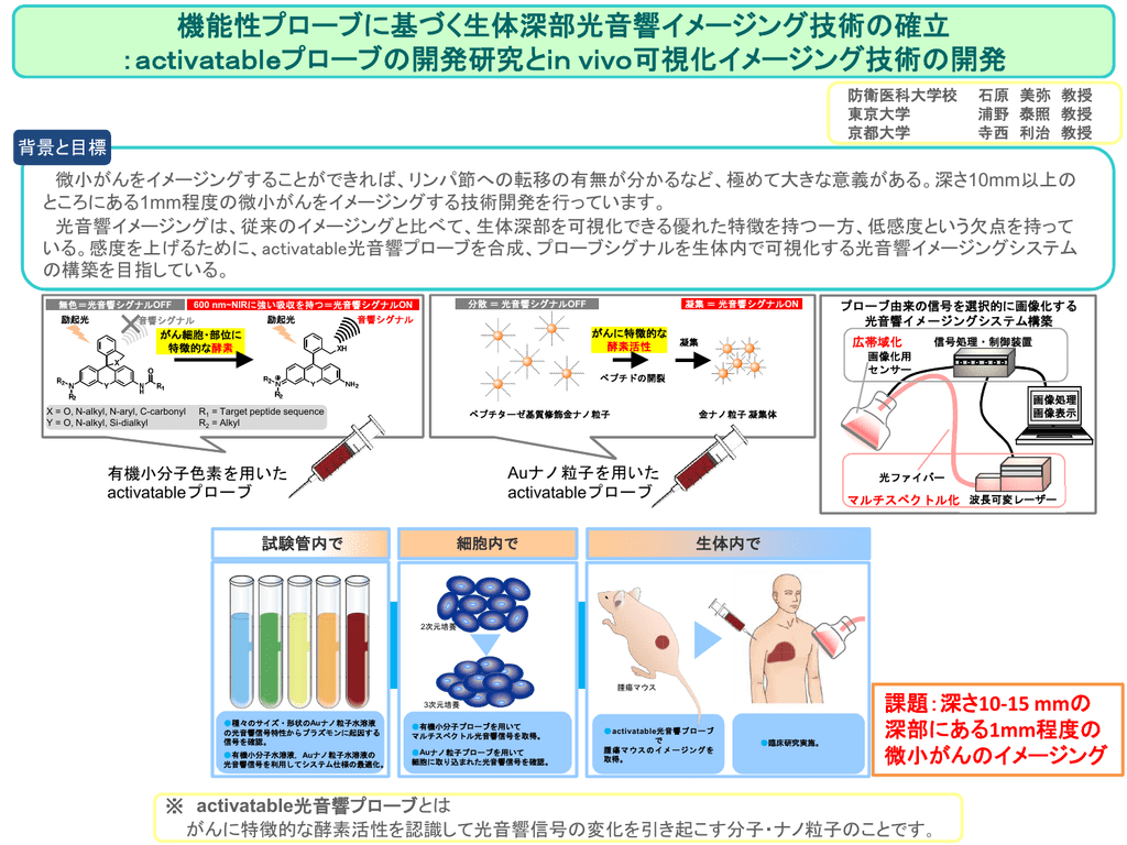 機能性プローブに基づく生体深部光音響イメージング技術の確立