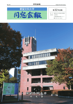 PDF 4.09MB