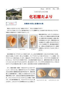 9月号 №65 右巻きの貝と左巻きの貝