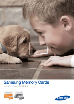 Samsung Memory Cards