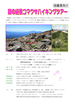 関東随一の約5万株のコマクサ群生地、標高