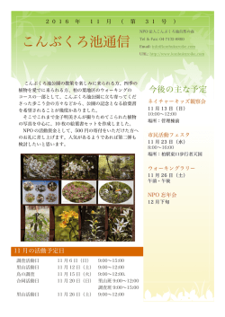 11月号 - こんぶくろ池自然博物公園