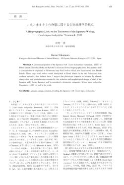 本文PDF - 神奈川県立生命の星・地球博物館