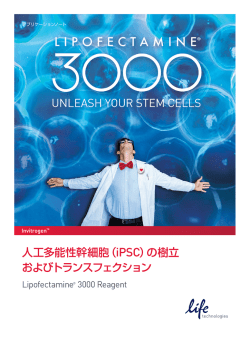 Lipofectamine&reg; 3000 Generation and Transfection of iPSCs 日本語