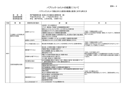 現行・連携計画策定時のパブリックコメント意見内容（PDFファイル）