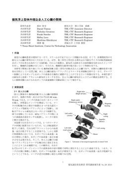 磁気浮上型体内埋込全人工心臓の開発