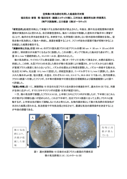 2011年 空気微小気泡群を利用した船底防汚対策