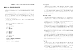 進歩レベル PROGRESS LEVELS