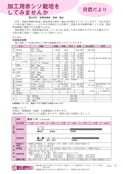 加工用赤シソ栽培を してみませんか