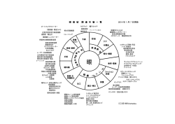 Page 1 眼 領 域 関 連 市 場 一 覧 2014 年 1 月 7 日更新 （C