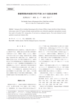 愛媛県西条市加茂川河口干潟における底生生物相