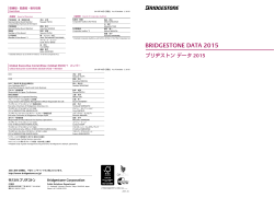 BRIDGESTONE DATA 2015 （942KB）