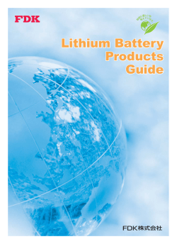 Lithium Battery Products Guide Lithium Battery Products Guide
