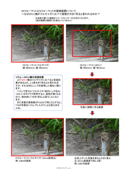 DXフォーマットとFXフォーマットの撮像範囲について