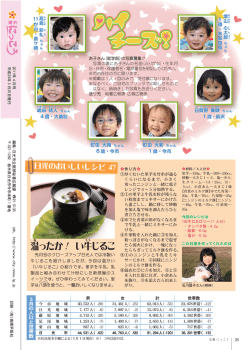 28ページ（PDF：515KB）