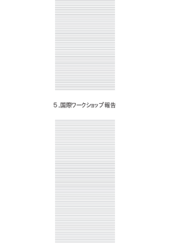 『2003年度 研究成果報告書』p247-410より抜粋