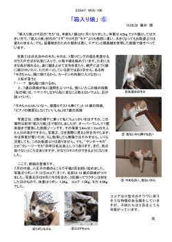 腕白おじさんのエッセイ 106「箱入り娘⑥」