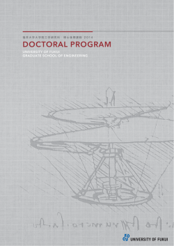 Doctoral Course Outline