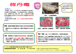 ～豚丹毒とは～ 豚丹毒は、豚やイノシシのほか多くの野生動物がかかる