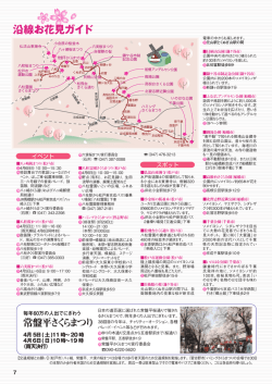 イベントピックアップ