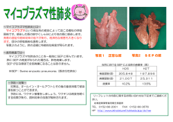 写真1 正常な肺 写真2 S E P の肺