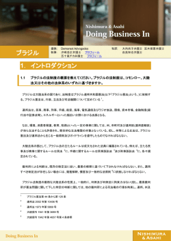Doing Business In ブラジル