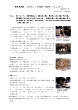 長高水族館 「カクレクマノミ放流プロジェクト」について