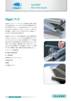 Clipper&reg;フック