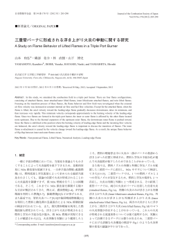三重管バーナに形成される浮き上がり火炎の挙動