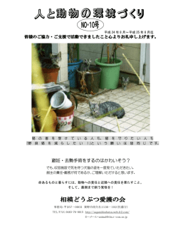 こちら - 相模どうぶつ愛護の会