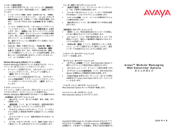Avaya&trade; Modular Messaging Web Subscriber