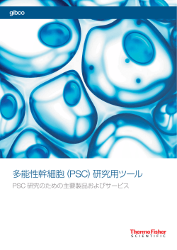 多能性幹細胞（PSC） - Thermo Fisher Scientific