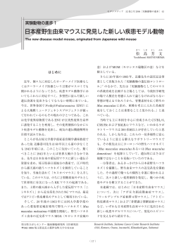 日本産野生由来マウスに発見した新しい疾患モデル動物