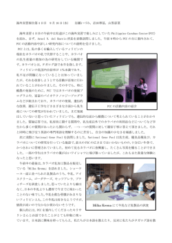 添付ファイル PDF