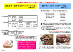 避妊手術・去勢手術のパッケージ料金 歯のクリーニング パッケージ料金
