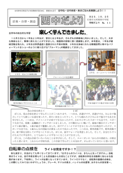 11号