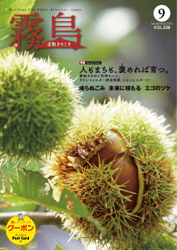 No.238（9月号）（PDF：11329KB）