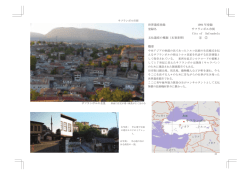 青年海外協力隊員が携わった世界遺産 5/5