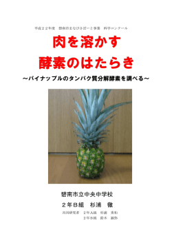 肉を溶かす 酵素のはたらき