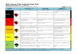 Avalanche Dander Rating, PDF