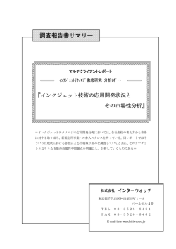 調査報告書サマリー - インターウォッチ