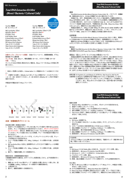 日本語 プロトコール