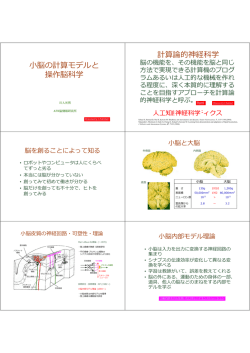 脳の計算モデルと 操作脳科学 計算論的神経科学