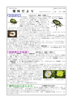 6月9日