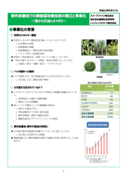 概要版 - スメーブジャパン