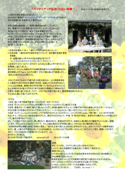 「パックツアーではありえない体験！」