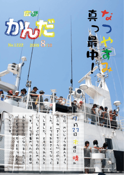 衆議院議員総選挙・最高裁判所裁判官国民審査(24ページ)