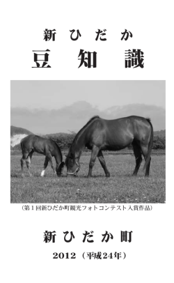 2012年版 - 新ひだか町