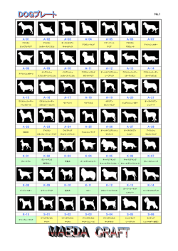 A-01 A-02 A-03 A-04 A-05 A-06 A-07 A-08 A-09 A