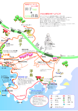 田子 浮島